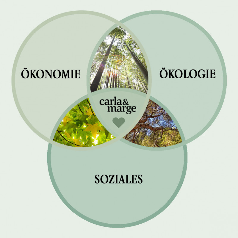 Die drei Säulen der Nachhaltigkeit